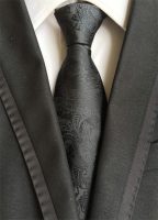 Lot 6 PCS Classic Men's Silk Tie Necktie Woven JACQUARD Neck Ties